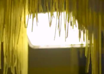 AgroEmpresas: Arcor desembarca en el negocio de las pastas secas, mientras Axion busca seducir al agro con su nuevo diésel