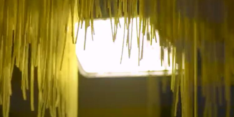 AgroEmpresas: Arcor desembarca en el negocio de las pastas secas, mientras Axion busca seducir al agro con su nuevo diésel