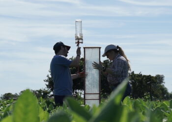 ¿Cómo es la investigación agrícola en la Argentina? Tiene buen nivel, pero estudia cosas distintas de las que demandan los productores