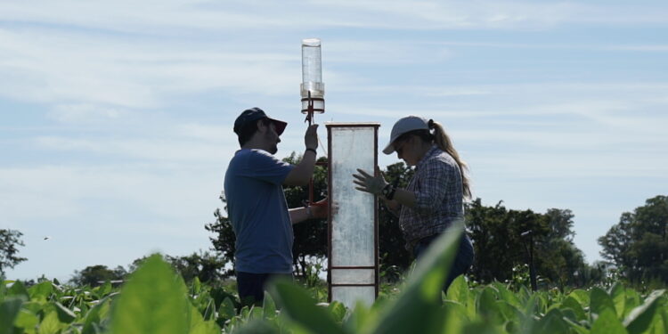 ¿Cómo es la investigación agrícola en la Argentina? Tiene buen nivel, pero estudia cosas distintas de las que demandan los productores