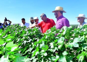 Los récord de Formosa: Colocó a dos ministros de Agricultura, pero tiene uno de los campos más postergados de la Argentina