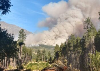 Fuego, quemas, incendios, responsables y afectados: Es urgente implementar una solución