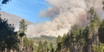 Fuego, quemas, incendios, responsables y afectados: Es urgente implementar una solución