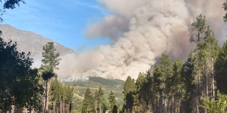 Fuego, quemas, incendios, responsables y afectados: Es urgente implementar una solución