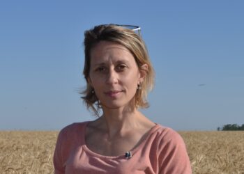 Leticia Mir analiza soja y trigo en el laboratorio del INTA Marcos Juárez y reconoce que en Argentina “falta una cultura que premie la calidad”