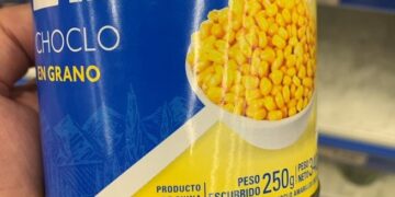 Mientras castiga sus exportaciones con retenciones y brecha cambiaria, la Argentina “subsidia” unos 2.800 millones de dólares para importar alimentos que podría producir