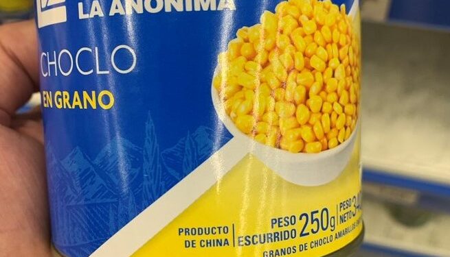 Mientras castiga sus exportaciones con retenciones y brecha cambiaria, la Argentina “subsidia” unos 2.800 millones de dólares para importar alimentos que podría producir