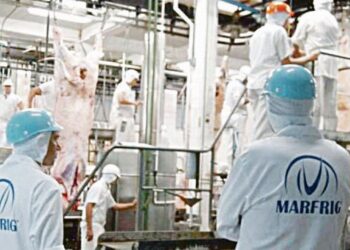AgroEmpresas: La brasileña dueña de Paty, Marfrig, tuvo ganancias récord en 2020 gracias a la intensa demanda de carne de China