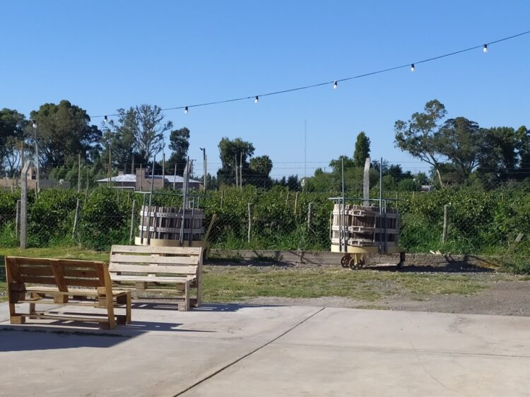 Miguel Mas comenzó a producir alimentos orgánicos en 1989 y cree que recién ahora el mercado interno los valora: “Comemos medio kilo de veneno por año con los convencionales”