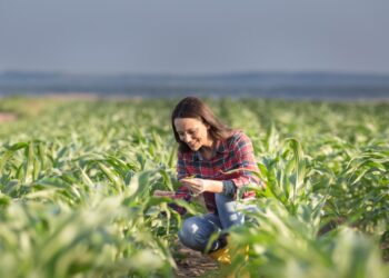 Se acabó el patriarcado: La Facultad de Ciencias Agropecuarias de Córdoba tiene más inscriptas mujeres que hombres