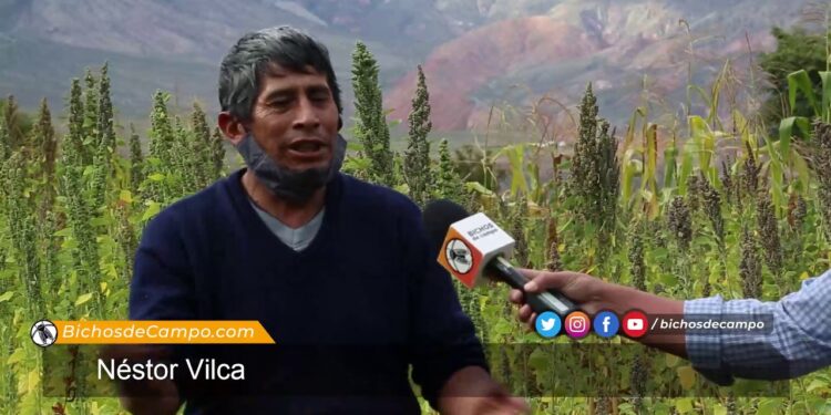 Néstor Vilca, en la Quebrada de Humahuaca, pudo recuperar muchas de las producciones andinas realizadas por sus ancestros