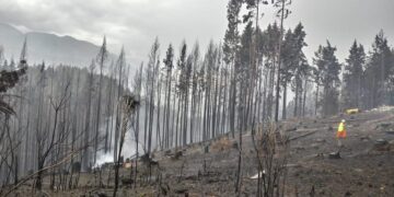 Desde Lago Puelo, Paula Costa relata el calvario sufrido por los productores: tras los incendios, la prioridad es reconstruir el sistema de riego y el tendido eléctrico