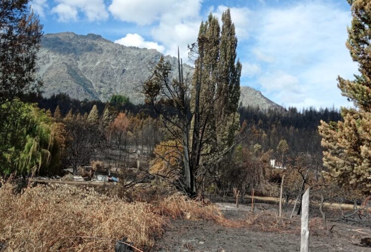 Desde Lago Puelo, Paula Costa relata el calvario sufrido por los productores: tras los incendios, la prioridad es reconstruir el sistema de riego y el tendido eléctrico