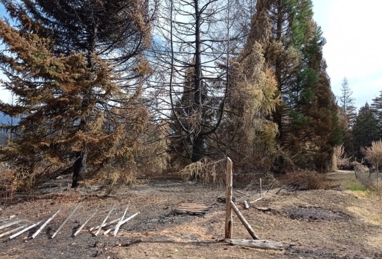 Desde Lago Puelo, Paula Costa relata el calvario sufrido por los productores: tras los incendios, la prioridad es reconstruir el sistema de riego y el tendido eléctrico