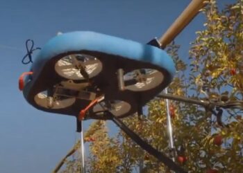 ¿Una solución de largo plazo al problema de la mano de obra? Presentaron en Israel unos robots voladores que cosechan fruta