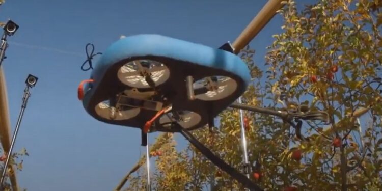 ¿Una solución de largo plazo al problema de la mano de obra? Presentaron en Israel unos robots voladores que cosechan fruta
