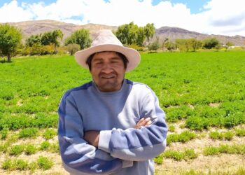 Con extrema simpleza, Daniel Silisque explica las dificultades de sembrar en la Quebrada de Humahuaca: “Es una verdadera lotería”, define