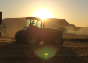 Una radiografía de las AgTech argentinas: La mayoría fueron creadas por emprendedores vinculados al agro, ganan plata y reinvierten en investigación