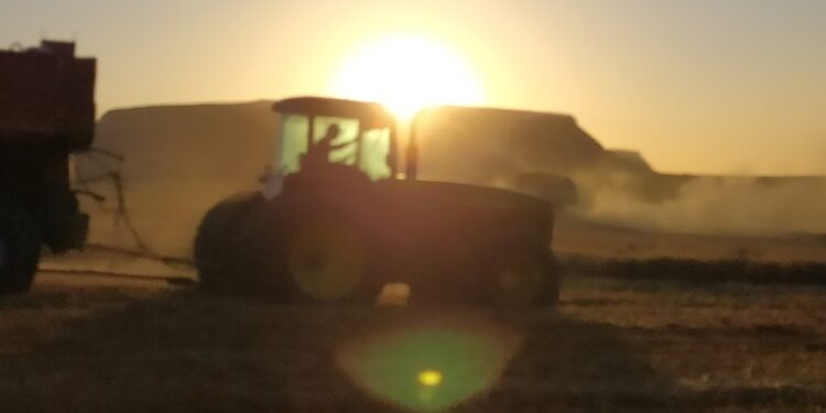 Una radiografía de las AgTech argentinas: La mayoría fueron creadas por emprendedores vinculados al agro, ganan plata y reinvierten en investigación