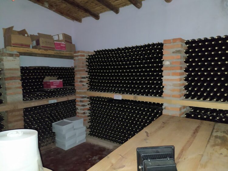 Aunque suele implantarse cerca del mar, en la Quebrada de Humahuaca se animaron a producir vinos de altura con la uva tannat