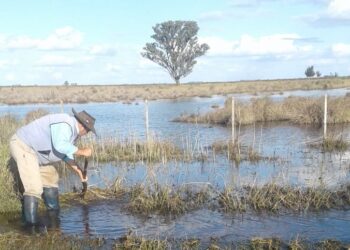 Vivir en un campo cercado por el agua: El duro relato de un matrimonio que trabaja en un establecimiento ganadero en Azul