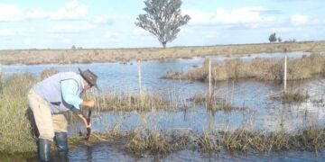 Vivir en un campo cercado por el agua: El duro relato de un matrimonio que trabaja en un establecimiento ganadero en Azul