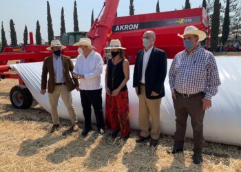 No mames guey acaparador: Argentina y México firman un acuerdo para incorporar allá los silobolsas