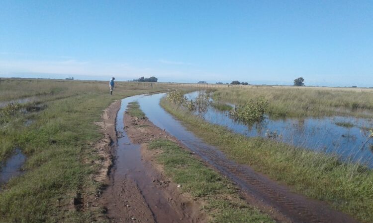 Vivir en un campo cercado por el agua: El duro relato de un matrimonio que trabaja en un establecimiento ganadero en Azul