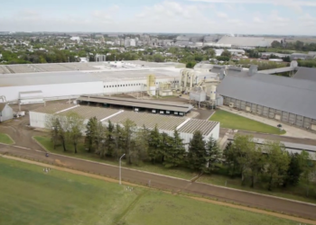 Aceitera General Deheza se quedó afuera del cupo de exportación de maní con destino a EE.UU.