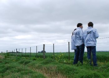 ARBA asegura que detectó una evasión de 354 millones de pesos por medio del “índice verde”: ¿Cuál es el verdadero alcance de esa herramienta?