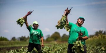 El gobierno argentino quiere implementar este año el “Banco de Tierras para la Agricultura Familiar”