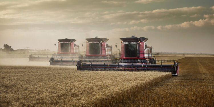 La inteligencia artificial llegó a las cosechadoras: Ahora es posible elegir cuatro “combos” automatizados