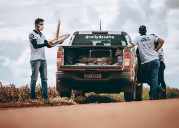 Brasil Potencia Agrícola: Tendrá una cosecha récord histórica para aprovechar al máximo los altos precios internacionales de los granos