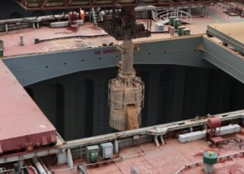 La caída del precio internacional de la harina de soja afecta solamente al poroto argentino, mientras que en EE.UU y Brasil pasa desapercibida