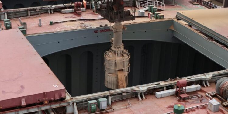 La caída del precio internacional de la harina de soja afecta solamente al poroto argentino, mientras que en EE.UU y Brasil pasa desapercibida