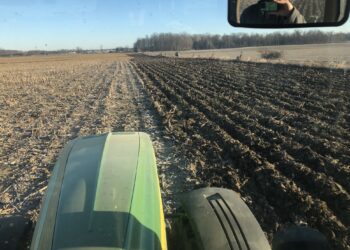 Pum para arriba: Administradores de fondos agrícolas siguen reforzando apuestas alcistas en maíz