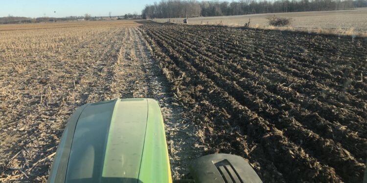 Pum para arriba: Administradores de fondos agrícolas siguen reforzando apuestas alcistas en maíz