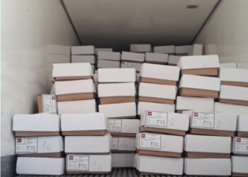 Los chivos del Impenetrable ahora viajan rumbo al Congo: Se exportaron 26 toneladas de carne caprina al país africano