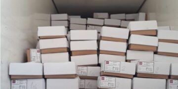 Los chivos del Impenetrable ahora viajan rumbo al Congo: Se exportaron 26 toneladas de carne caprina al país africano