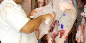 Carne troceada: Cuando detrás de la “modernización” puede esconderse el deseo de eliminar jugadores