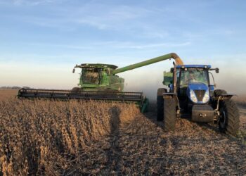 Gloria de antaño: Este año la producción de soja de la zona núcleo pampeana argentina será la más baja de la última década