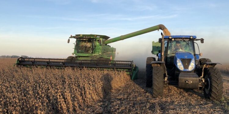 Gloria de antaño: Este año la producción de soja de la zona núcleo pampeana argentina será la más baja de la última década