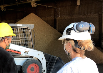 Córdoba se consolidó como la mayor provincia productora de expeller de soja