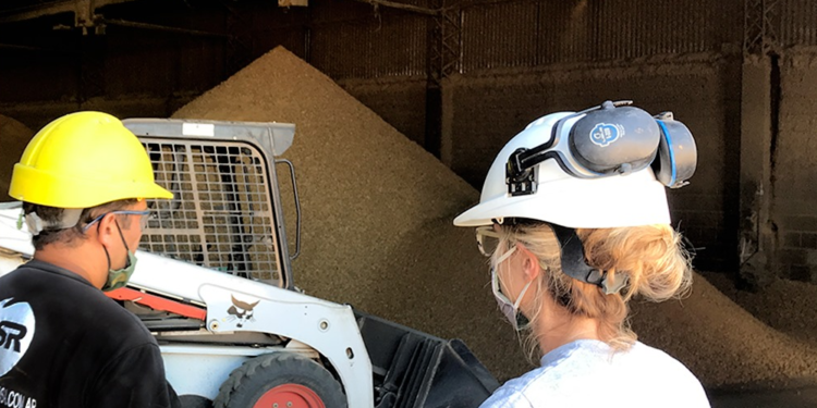 Córdoba se consolidó como la mayor provincia productora de expeller de soja