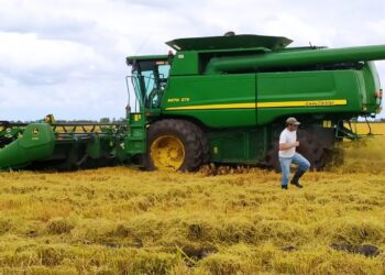 Germán Guarito de Fundación Proarroz explica que “la genética juega un papel clave para lograr un menor porcentaje de quebrado en el grano”