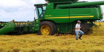 Germán Guarito de Fundación Proarroz explica que “la genética juega un papel clave para lograr un menor porcentaje de quebrado en el grano”