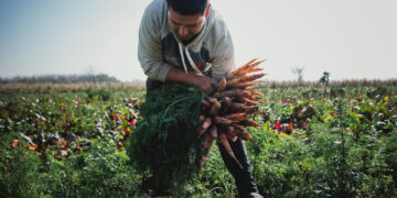 Reforma Agraria: Investigador del Conicet propone distribuir la tierra entre millones de familias para solucionar la crisis argentina, ambiental y climática