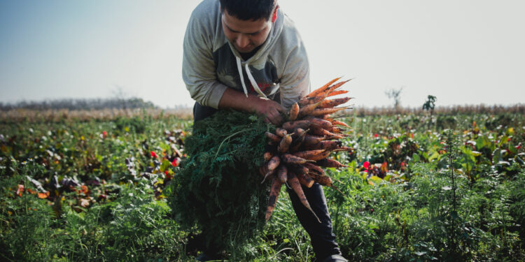Reforma Agraria: Investigador del Conicet propone distribuir la tierra entre millones de familias para solucionar la crisis argentina, ambiental y climática