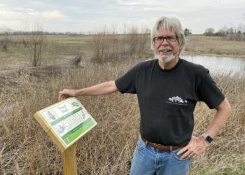 ¿Qué hacen las naciones civilizadas para proteger los humedales?