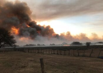 Buenos Aires: sigue inhabilitada la posibilidad de realizar quemas prescriptas luego de cuatro años de vigencia de la Ley de Lucha Contra Incendios